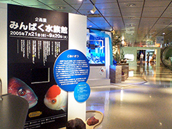 施工事例（特別展キャプション等シート製作、施工）